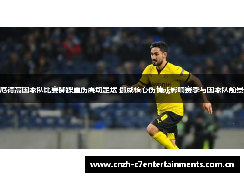 厄德高国家队比赛脚踝重伤震动足坛 挪威核心伤情或影响赛季与国家队前景